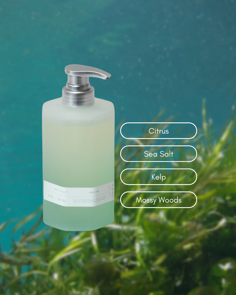 Sea Kelp | Hand Soap – Makers of Wax Goods