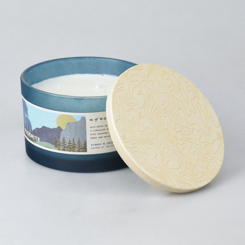 Frankincense Botanical Candle Travel Tin – Wax Apothecary ™